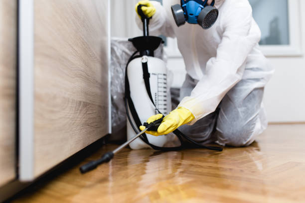 Best Best Pest Control Companies  in Roselawn, IN