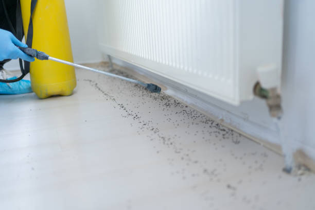 Best Pest Control for Homes  in Roselawn, IN