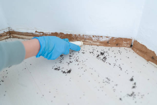 Best Affordable Pest Control Services  in Roselawn, IN