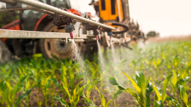 Best Mosquito Control Services  in Roselawn, IN