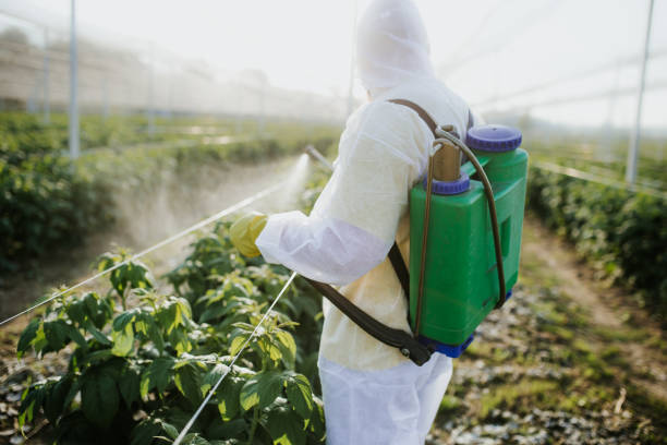 Best Best Pest Control Companies  in Roselawn, IN